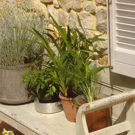 I Poggioli Apartment *