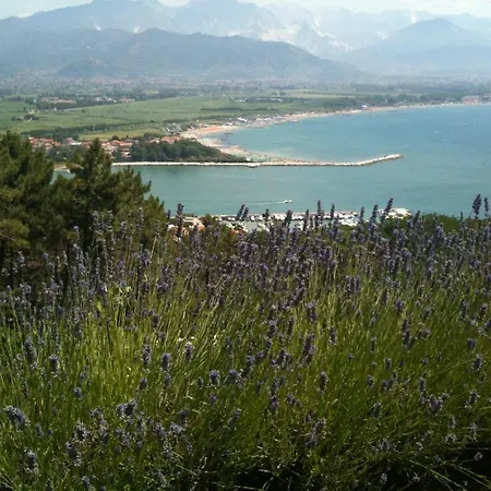 Apartment I Poggioli