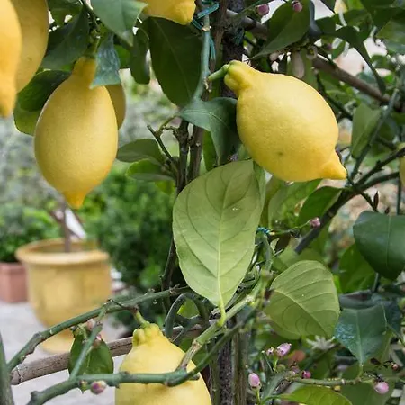 I Poggioli Bocca di Magra