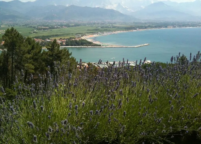 Apartmán I Poggioli
